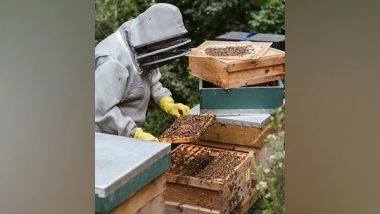 Science News | 'Queen Banking' Can Help Beekeepers Deal with Climate Change
