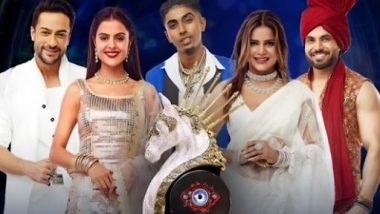 Bigg Boss 16: MC Stan, Priyanka Chachar Choudhary, Shalin Bhanot, Shiv Thakare and Archana Gautam - Check Out Top 5 Finalists Journey This Season!