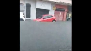 Brazil Rains: Floods, Landslides Caused by Heavy Rainfall Kill 26 in Sao Sebastiao and Ubatuba, Carnival Festivities Cancelled (Watch Video)