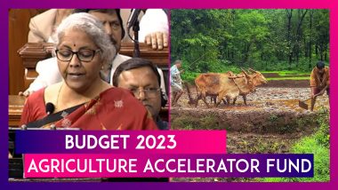 Budget 2023: FM Nirmala Sitharaman Announces Setting Up Of Agriculture Accelerator Fund