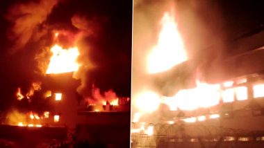 Gujarat Fire: Massive Blaze Erupts At Factory in Umargam, Fire Tenders Rushed to Spot (See Pics)