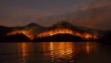 Chile Wildfires: 13 Killed, Nearly 14,000 Hectares of Land Torched As Heatwave-Triggered Dozens of Wildfires Continue to Spread (Watch Video)