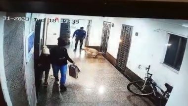 Gurugram Dog Attack Video: 12-Year-Old Girl Narrowly Escapes Attack by Labrador Dog in Uniworld Garden City-2