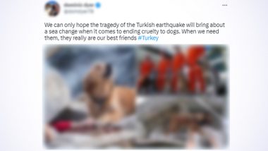 Viral Photo of Dog Sitting Besides Person Trapped Under Debris Wrongly Attributed To Turkey Earthquake, Here's a Fact Check