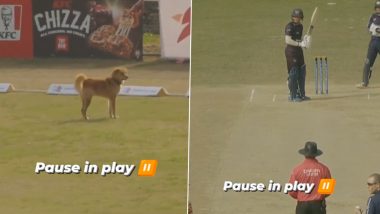 Dog Stops Play! Aww-Dorable Canine Enters Field During Scotland vs Namibia ICC Cricket World Cup League 2 Match (Watch Video)