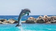 Bolivia: British National Suffers Injuries After Wild Dolphin Attack, Now &lsquo;Fighting for Her Life&rsquo;