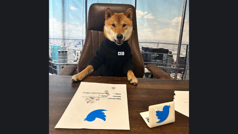 Elon Musk Declares His Dog Floki As New CEO of Twitter, Sends Cryptocurrency Floki and Other Canine Crypto Coins Soaring With DOGE-Themed Tweet