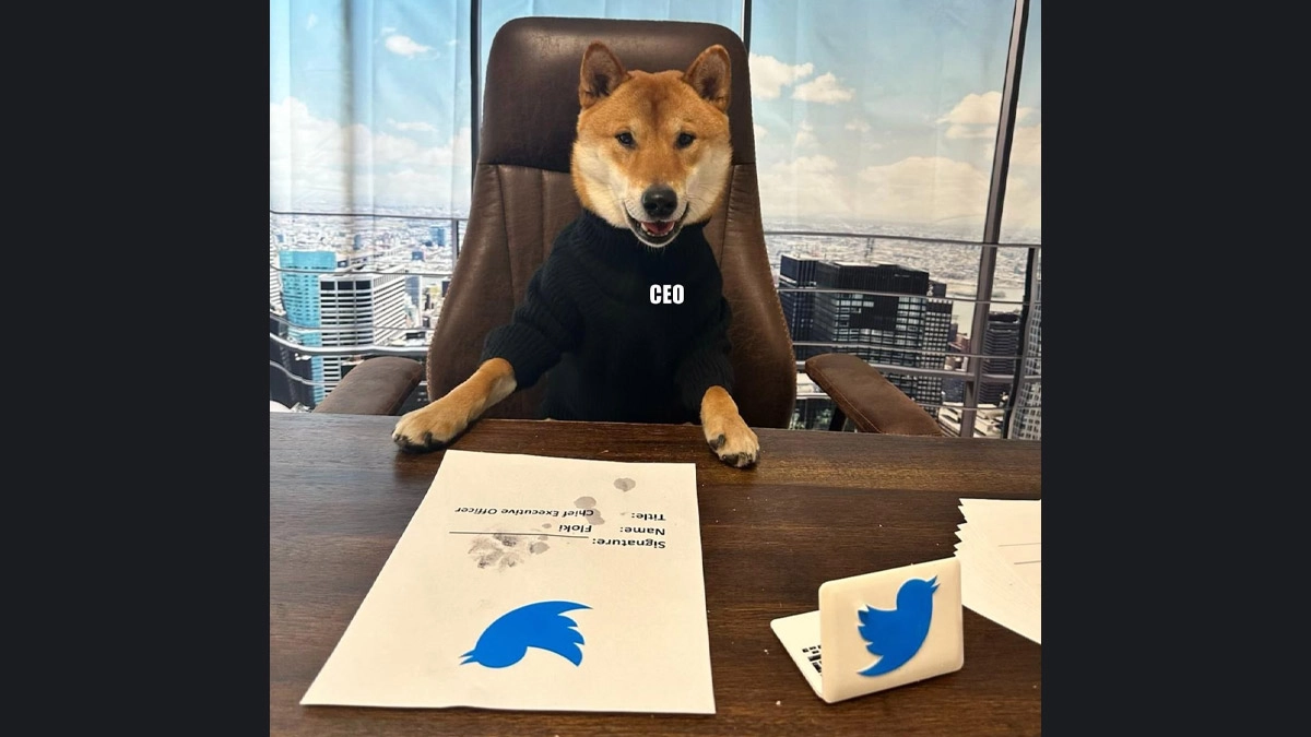 Elon Musk Declares His Dog Floki As New CEO of Twitter, Sends Cryptocurrency  Floki and Other Canine Crypto Coins Soaring With DOGE-Themed Tweet | 🌎  LatestLY