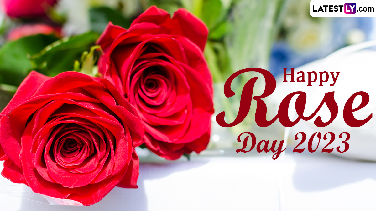 Rose Day 2023 Images & Happy Valentine's Day HD Wallpapers for Free  Download Online: Wish Happy Rose Day With WhatsApp Stickers, GIF Greetings,  SMS and Romantic Quotes | 🙏🏻 LatestLY