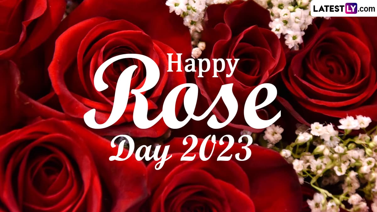 Rose Day 2023 Greetings and Images: Share Romantic Messages ...