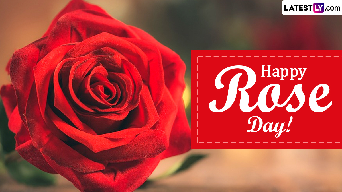 Rose Day 2023 Images & Happy Valentine’s Day Hd Wallpapers For Free 