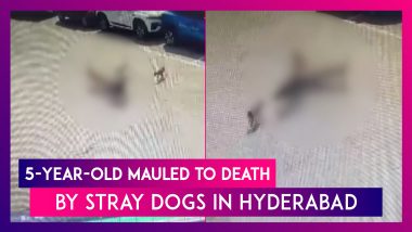 Hyderabad Horror: 5-Year-Old Mauled To Death By Stray Dogs; Horrific Act Caught On CCTV