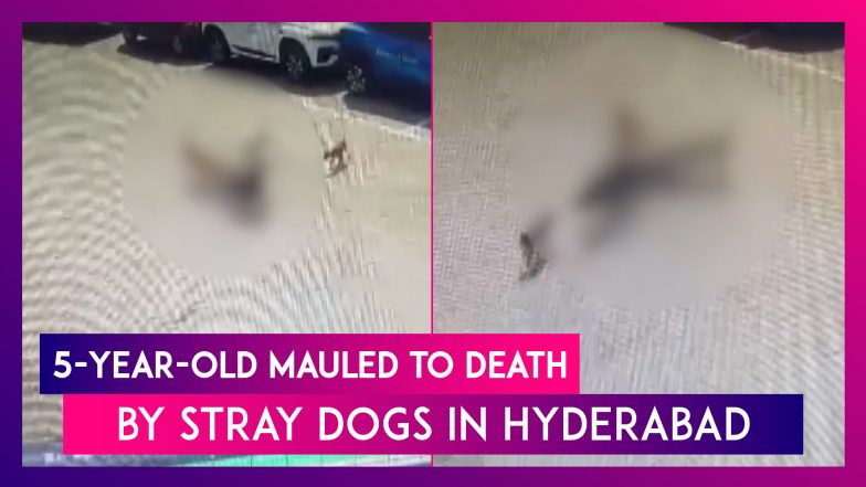 Hyderabad Horror: 5-Year-Old Mauled To Death By Stray Dogs; Horrific Act Caught On CCTV
