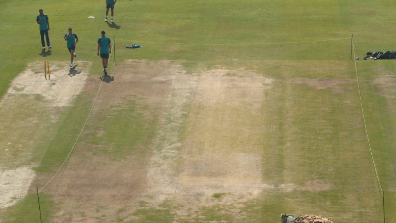 First Look Of Pitch To Be Used For IND Vs AUS 2nd Test At Arun Jaitley ...