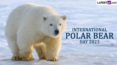 International Polar Bear Day 2023 Date & Motto: Know History and Significance of the Day That Raises Awareness About the Protection of Polar Bears