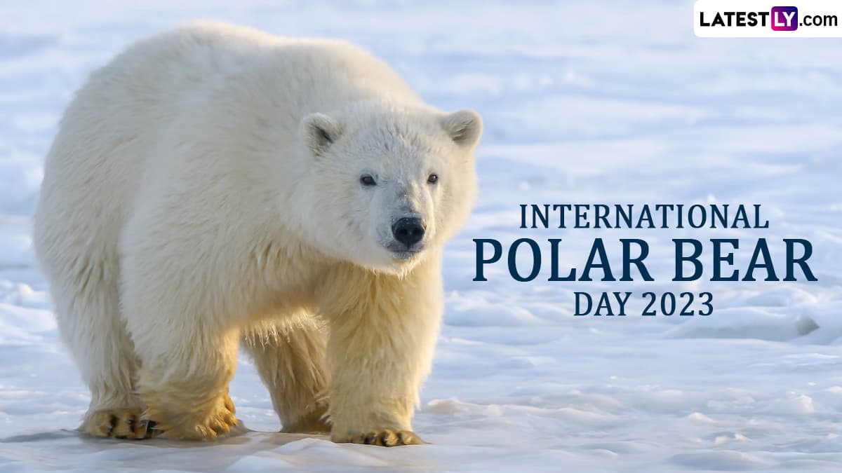 NATIONAL POLAR BEAR DAY - February 27 - National Day Calendar