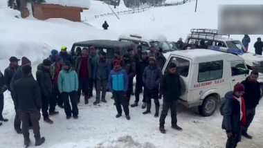 Jammu And Kashmir Blue Videos - Jammu and Kashmir Avalanche Video: Two Killed, Four Rescued From Snow  Avalanche in Gulmarg | ðŸ“° LatestLY