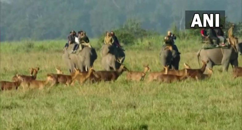 Poachers Kill Rhino for Its Horn in Kaziranga National Park in Assam