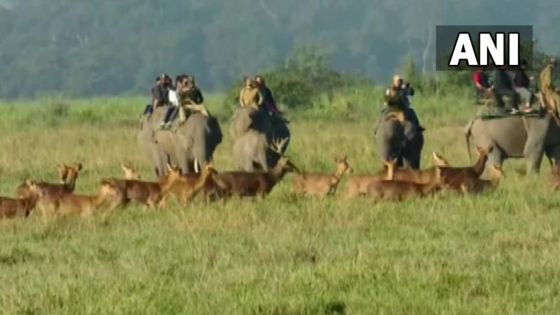 Kaziranga National Park To Be Closed for Tourists From May Due to Monsoon