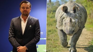 Leonardo DiCaprio Praises Assam Government's Efforts To End Poaching Of One-Horned Rhinoceros (View Post)