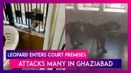 Leopard Enters Ghaziabad Court Premises In Uttar Pradesh, Several Injured In The Attack