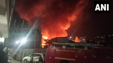 Nagaland Fire: Massive Blaze at Mao Market in Kohima Guts Over 200 Shops (Watch Video)