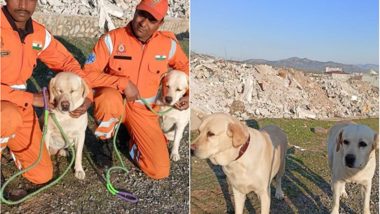 Operation Dost: Meet NDRF's Romeo and Julie Who Saved 6-Year-Old Girl in Earthquake-Hit Turkey