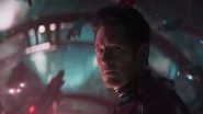 Ant-Man and the Wasp - Quantumania Full Movie in HD Leaked on Torrent Sites & Telegram Channels for Free Download and Watch Online; Paul Rudd's Marvel Film Is the Latest Victim of Piracy?