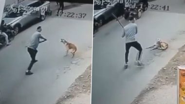 Delhi Shocker: Two Men Beat Stray Dog to Death With Stick in Sarita Vihar, Disturbing Video Goes Viral