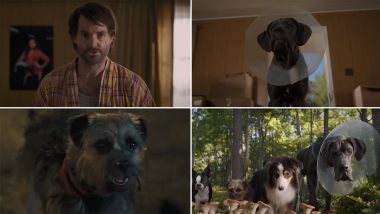 Strays Trailer: Will Ferrell Voices an Abandoned Dog Seeking Revenge Against Its Owner; Josh Greenbaum’s Comedy To Arrive in Theatres on June 9 (Watch Video)