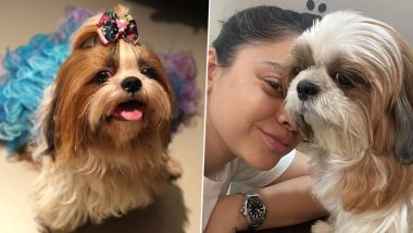 Sumona Chakravarti Pens an Emotional Note in the Loving Memory of Her Pet Dog Bubbles (View Pics)