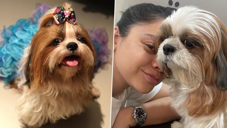 Sumona Chakravarti Pens an Emotional Note in the Loving Memory of Her Pet Dog Bubbles (View Pics)