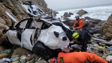 Tesla Crash: Indian-American Dharmesh Patel, Accused of Driving Tesla Car Off Cliff With Family Inside, Pleads Not Guilty to Attempted Murder