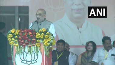 Nitish Kumar Seeking Sonia Gandhi's Shelter, Sitting in Lalu Yadav's Lap for PM's Post, Says Amit Shah in Bihar