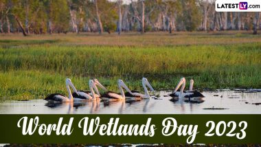 World Wetlands Day 2023 Date and Theme: Know All About History, Significance and How the Global Event Recognised by the UN Is Observed