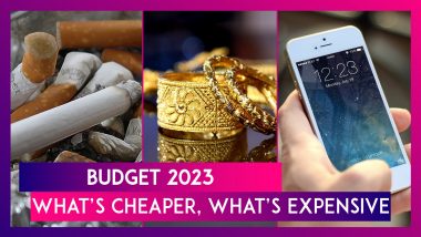 Budget 2023: Here’s What Has Become Cheaper And What’s Got Expensive