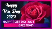 Happy Rose Day 2023 Greetings, Lovely Messages, Quotes About Love and Rose HD Images To Share