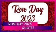 Rose Day 2023 Quotes and Sayings About Love, Beautiful Rose Images, HD Wallpapers and Messages