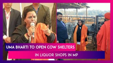 Uma Bharti To Open Cow Shelters In Liquor Shops In Madhya Pradesh, ‘I’ll No Longer Wait,’ Says The BJP Leader