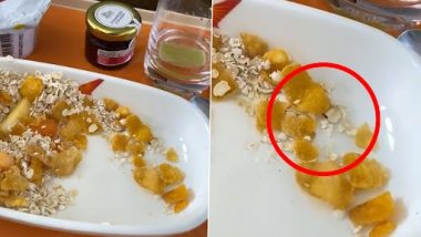Air India Business Class Passenger Complains of Insect Being Served in Flight Meal (Watch Video)