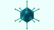 What Is Adenovirus? Seven Children Die of Respiratory Infection in West Bengal; Know Symptoms, Causes, Treatment and Preventive Measures of Flu-Like Illness