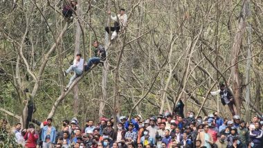 Madness of Cricket in Nepal! Fans Climb on Top of Tree To Watch NEP vs UAE ICC Cricket World Cup League 2 Match At Jam-packed TU Ground (See Pic)