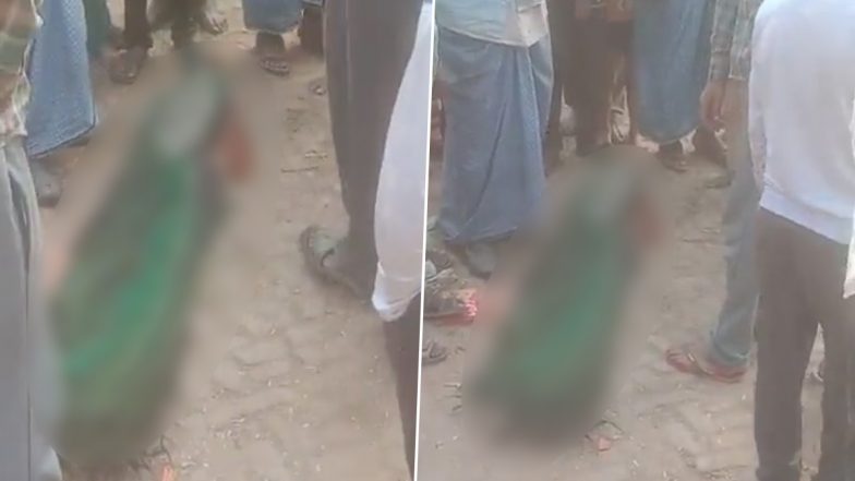 Uttar Pradesh: Peacock Electrocuted to Death After Coming in Contact With Open Wire in Hamirpur (Disturbing Video)