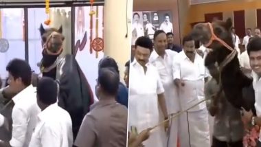 MK Stalin Birthday: DMK Cadres Gift Camel to Tamil Nadu CM in Chennai (Watch Video)