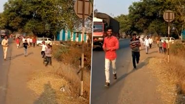 Maharashtra: Provoked by Loud DJ Music, Swarm of Bees Attack Wedding Procession in Buldhana, Over 250 Baraatis Injured (Watch Video)