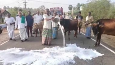 Tamil Nadu Dairy Farmers Throw Milk on Road During Protest Seeking Hike in Milk Procurement Prices in Erode (Watch Video)