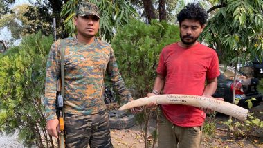 West Bengal Police Arrests Man Smuggling Elephant Tusk in Jalpaiguri
