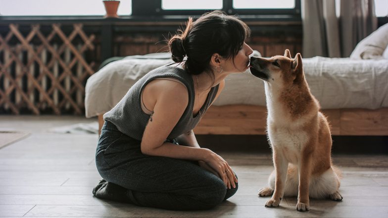 Having a Pet? Your Loveable Dog or Cat Might Lead to Restless Nights and Have Impact on Sleep Cycle, Here's Why