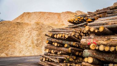 EU Weighs Up Future of Wood-burning as Renewable Energy