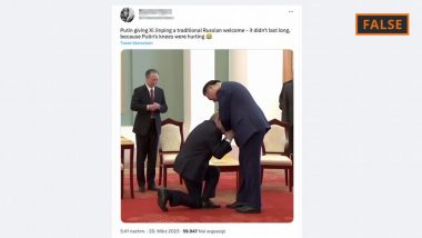 No, Putin Did Not Kneel Before Xi Jinping